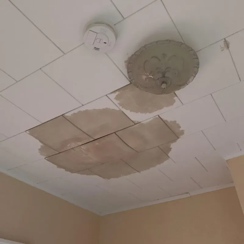Ceiling Water Damage Repair in Madison County, NC