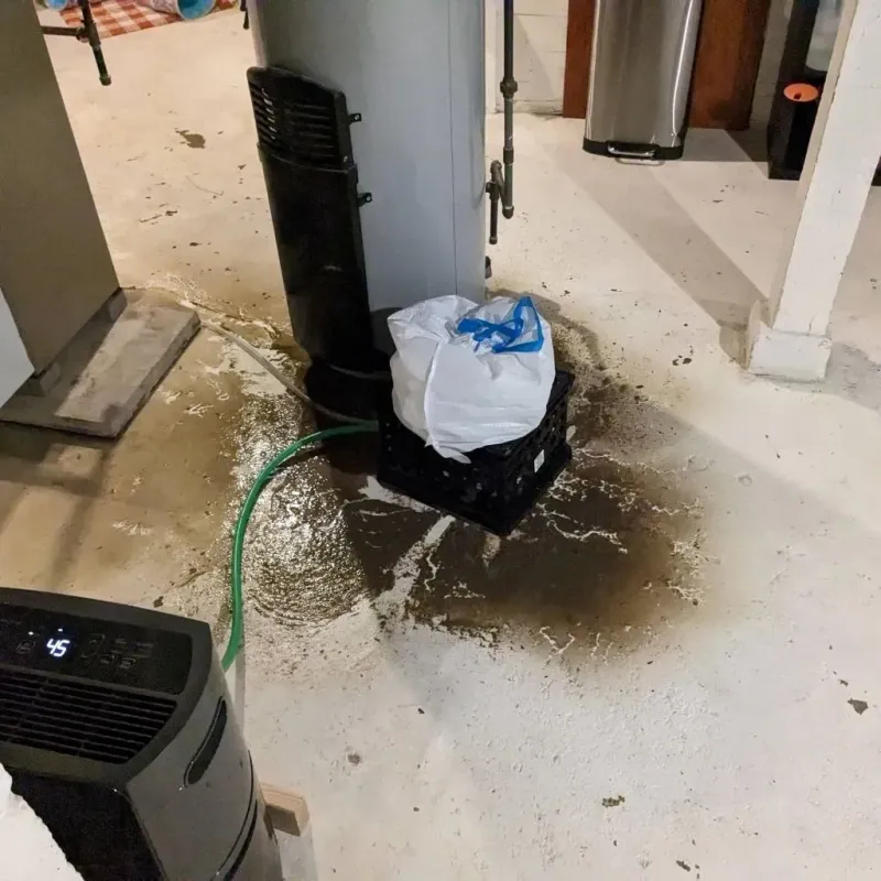 Sewage Backup Cleanup Service in Madison County, NC
